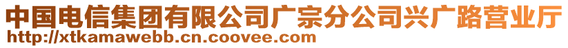 中國電信集團有限公司廣宗分公司興廣路營業(yè)廳