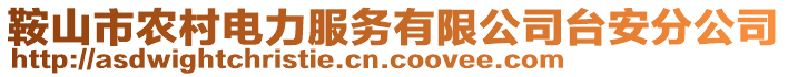 鞍山市農(nóng)村電力服務(wù)有限公司臺(tái)安分公司