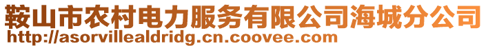 鞍山市農村電力服務有限公司海城分公司