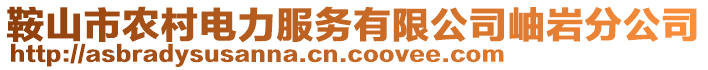 鞍山市農(nóng)村電力服務(wù)有限公司岫巖分公司