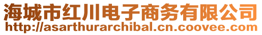 海城市紅川電子商務(wù)有限公司