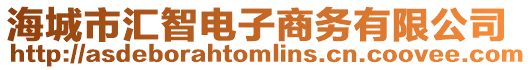 海城市匯智電子商務(wù)有限公司