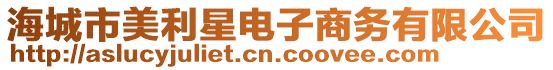 海城市美利星電子商務(wù)有限公司