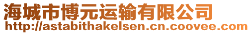 海城市博元運(yùn)輸有限公司