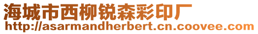 海城市西柳銳森彩印廠