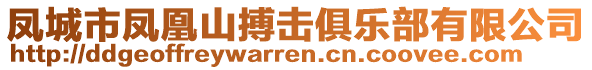 鳳城市鳳凰山搏擊俱樂部有限公司