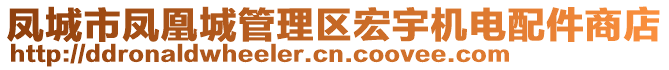 鳳城市鳳凰城管理區(qū)宏宇機電配件商店