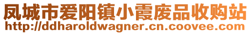 鳳城市愛陽鎮(zhèn)小霞廢品收購(gòu)站