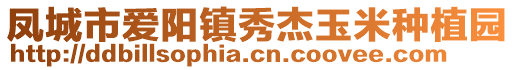 鳳城市愛陽鎮(zhèn)秀杰玉米種植園