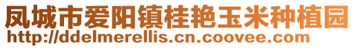 鳳城市愛陽鎮(zhèn)桂艷玉米種植園