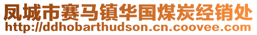 鳳城市賽馬鎮(zhèn)華國煤炭經(jīng)銷處