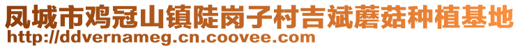 鳳城市雞冠山鎮(zhèn)陡崗子村吉斌蘑菇種植基地