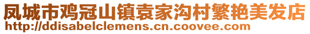 鳳城市雞冠山鎮(zhèn)袁家溝村繁艷美發(fā)店