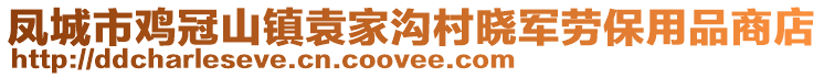 鳳城市雞冠山鎮(zhèn)袁家溝村曉軍勞保用品商店