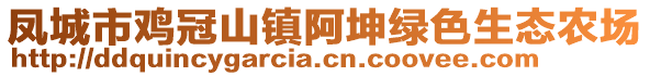 鳳城市雞冠山鎮(zhèn)阿坤綠色生態(tài)農(nóng)場