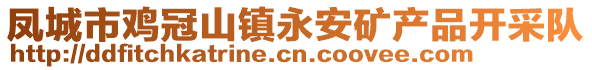 鳳城市雞冠山鎮永安礦產品開采隊