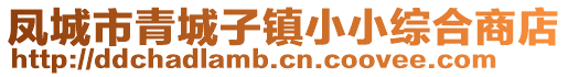 鳳城市青城子鎮(zhèn)小小綜合商店