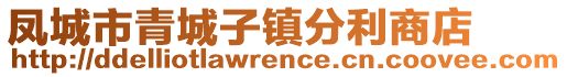 鳳城市青城子鎮分利商店