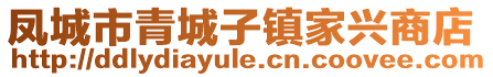 鳳城市青城子鎮(zhèn)家興商店