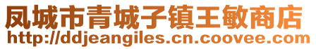 鳳城市青城子鎮(zhèn)王敏商店
