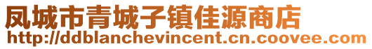 鳳城市青城子鎮(zhèn)佳源商店