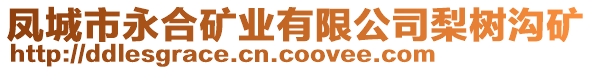 鳳城市永合礦業(yè)有限公司梨樹溝礦