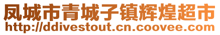 鳳城市青城子鎮輝煌超市