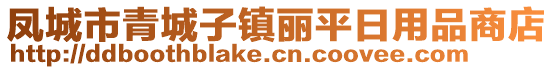 鳳城市青城子鎮(zhèn)麗平日用品商店