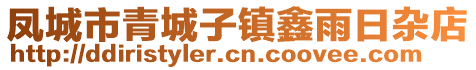 鳳城市青城子鎮(zhèn)鑫雨日雜店