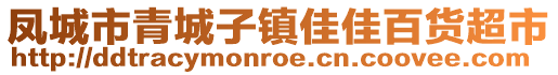 鳳城市青城子鎮(zhèn)佳佳百貨超市