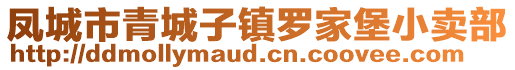 鳳城市青城子鎮羅家堡小賣部