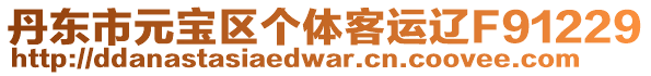 丹東市元寶區(qū)個體客運遼F91229