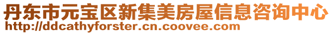 丹東市元寶區新集美房屋信息咨詢中心