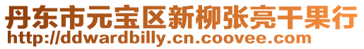 丹東市元寶區新柳張亮干果行