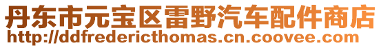 丹東市元寶區雷野汽車配件商店