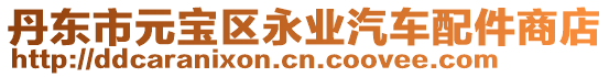 丹東市元寶區(qū)永業(yè)汽車配件商店