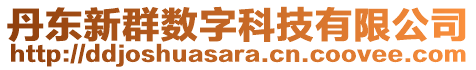 丹東新群數(shù)字科技有限公司