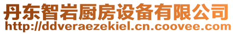 丹東智巖廚房設備有限公司