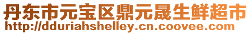 丹東市元寶區鼎元晟生鮮超市