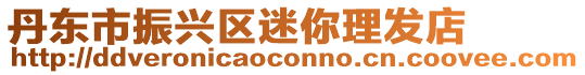 丹東市振興區(qū)迷你理發(fā)店