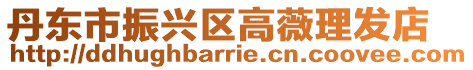 丹東市振興區(qū)高薇理發(fā)店