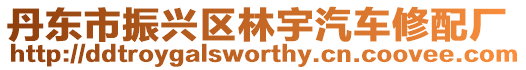 丹東市振興區林宇汽車修配廠