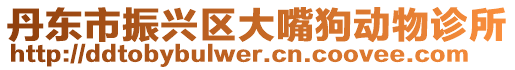 丹東市振興區(qū)大嘴狗動物診所