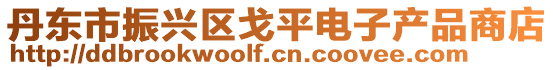丹東市振興區戈平電子產品商店