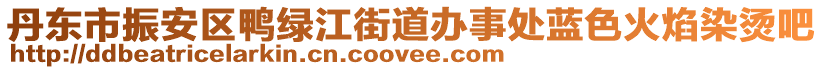 丹東市振安區鴨綠江街道辦事處藍色火焰染燙吧