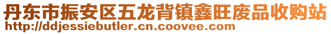 丹東市振安區(qū)五龍背鎮(zhèn)鑫旺廢品收購(gòu)站