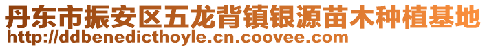 丹东市振安区五龙背镇银源苗木种植基地