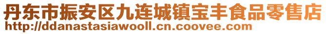 丹东市振安区九连城镇宝丰食品零售店