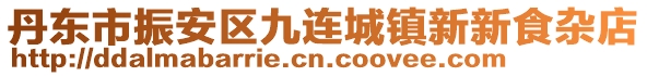 丹东市振安区九连城镇新新食杂店