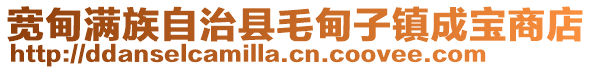 寬甸滿族自治縣毛甸子鎮成寶商店